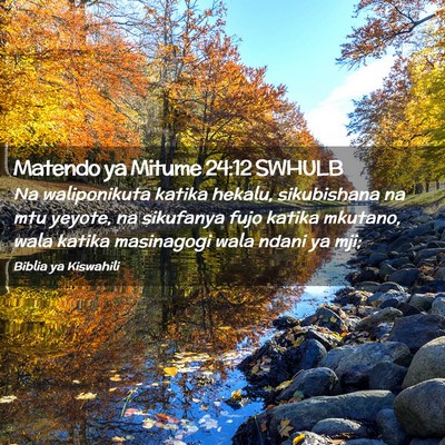 Picture 02 - Matendo ya Mitume 24:12 SWHULB - Na waliponikuta katika hekalu, sikubishana na mtu - Bible Verse Picture