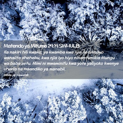 Picture 02 - Matendo ya Mitume 24:14 SWHULB - Ila nakiri hili kwako, ya kwamba kwa njia ile - Bible Verse Picture