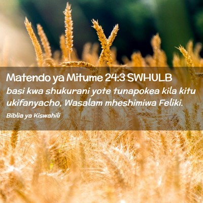 Picture 02 - Matendo ya Mitume 24:3 SWHULB - basi kwa shukurani yote tunapokea kila kitu - Bible Verse Picture