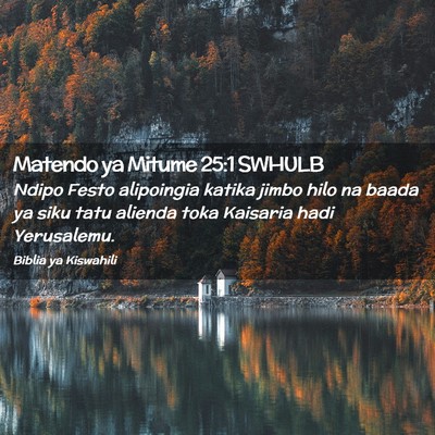 Picture 02 - Matendo ya Mitume 25:1 SWHULB - Ndipo Festo alipoingia katika jimbo hilo na baada - Bible Verse Picture
