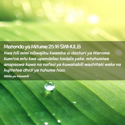 Picture 02 - Matendo ya Mitume 25:16 SWHULB - Kwa hili mimi niliwajibu kwamba si desturi ya - Bible Verse Picture