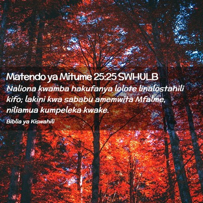 Picture 02 - Matendo ya Mitume 25:25 SWHULB - Naliona kwamba hakufanya lolote linalostahili - Bible Verse Picture