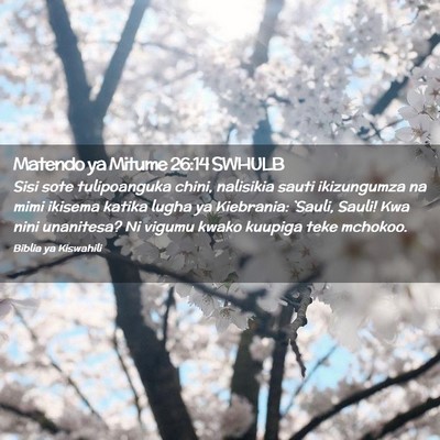 Picture 02 - Matendo ya Mitume 26:14 SWHULB - Sisi sote tulipoanguka chini, nalisikia sauti - Bible Verse Picture