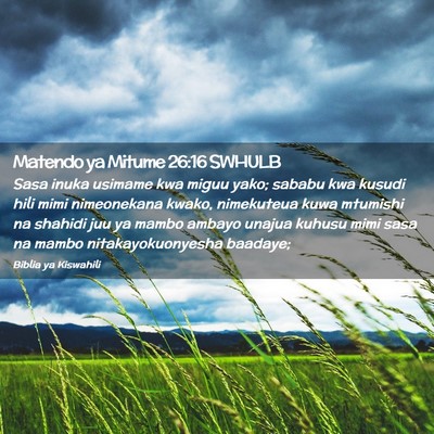 Picture 02 - Matendo ya Mitume 26:16 SWHULB - Sasa inuka usimame kwa miguu yako; sababu kwa - Bible Verse Picture