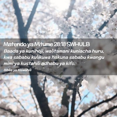 Picture 02 - Matendo ya Mitume 28:18 SWHULB - Baada ya kunihoji, walitamani kuniacha huru, kwa - Bible Verse Picture