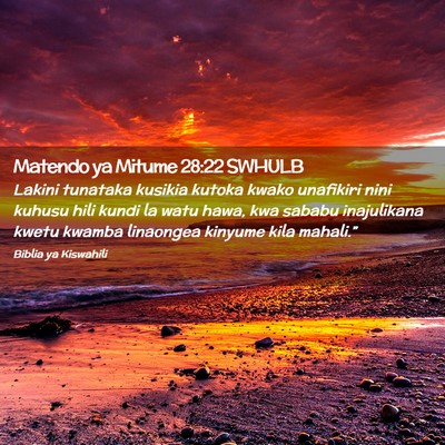 Picture 02 - Matendo ya Mitume 28:22 SWHULB - Lakini tunataka kusikia kutoka kwako unafikiri - Bible Verse Picture