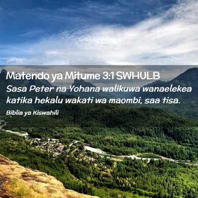 Picture 02 - Matendo ya Mitume 3:1 SWHULB - Sasa Peter na Yohana walikuwa wanaelekea katika - Bible Verse Picture
