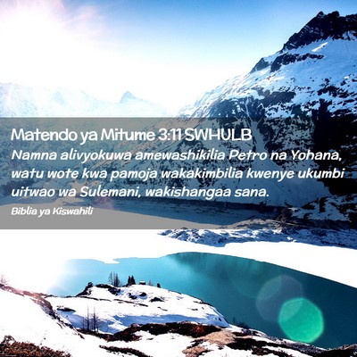 Picture 02 - Matendo ya Mitume 3:11 SWHULB - Namna alivyokuwa amewashikilia Petro na Yohana, - Bible Verse Picture
