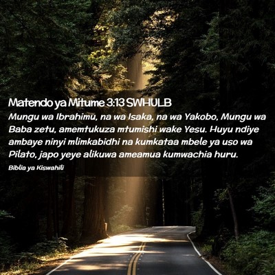 Picture 02 - Matendo ya Mitume 3:13 SWHULB - Mungu wa Ibrahimu, na wa Isaka, na wa Yakobo, - Bible Verse Picture