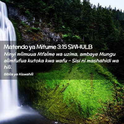 Picture 02 - Matendo ya Mitume 3:15 SWHULB - Ninyi mlimuua Mfalme wa uzima, ambaye Mungu - Bible Verse Picture