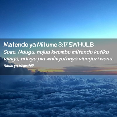 Picture 02 - Matendo ya Mitume 3:17 SWHULB - Sasa, Ndugu, najua kwamba mlitenda katika ujinga, - Bible Verse Picture