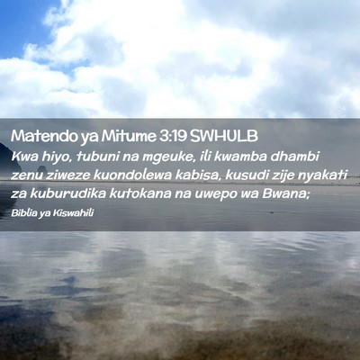 Picture 02 - Matendo ya Mitume 3:19 SWHULB - Kwa hiyo, tubuni na mgeuke, ili kwamba dhambi - Bible Verse Picture