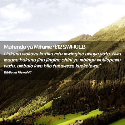 Picture 02 - Matendo ya Mitume 4:12 SWHULB - Hakuna wokovu katika mtu mwingine awaye yote. Kwa - Bible Verse Picture