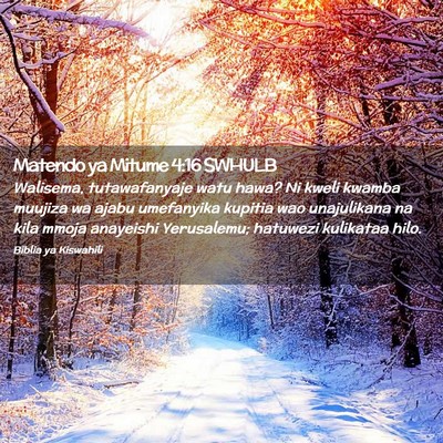 Picture 02 - Matendo ya Mitume 4:16 SWHULB - Walisema, tutawafanyaje watu hawa? Ni kweli - Bible Verse Picture