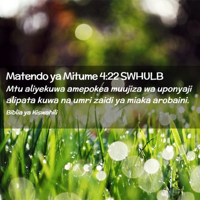 Picture 02 - Matendo ya Mitume 4:22 SWHULB - Mtu aliyekuwa amepokea muujiza wa uponyaji - Bible Verse Picture