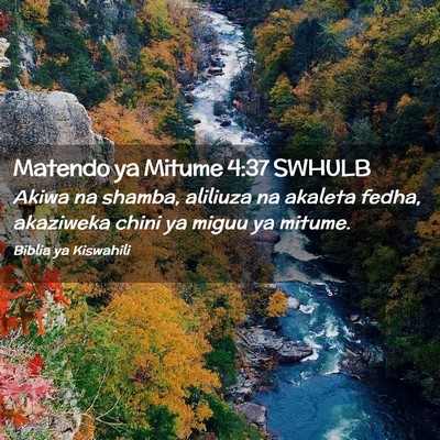 Picture 02 - Matendo ya Mitume 4:37 SWHULB - Akiwa na shamba, aliliuza na akaleta fedha, - Bible Verse Picture