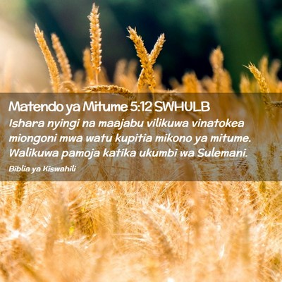 Picture 02 - Matendo ya Mitume 5:12 SWHULB - Ishara nyingi na maajabu vilikuwa vinatokea - Bible Verse Picture