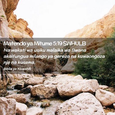 Picture 02 - Matendo ya Mitume 5:19 SWHULB - Na wakati wa usiku malaika wa Bwana akaifungua - Bible Verse Picture