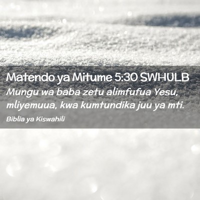 Picture 02 - Matendo ya Mitume 5:30 SWHULB - Mungu wa baba zetu alimfufua Yesu, mliyemuua, kwa - Bible Verse Picture