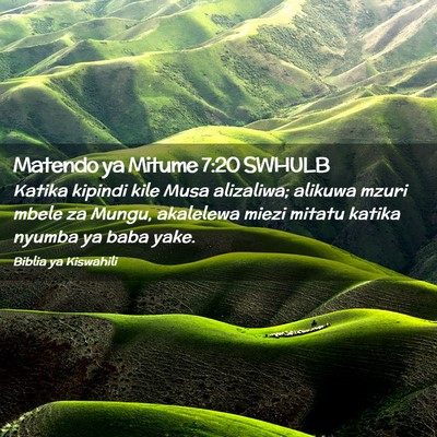 Picture 02 - Matendo ya Mitume 7:20 SWHULB - Katika kipindi kile Musa alizaliwa; alikuwa mzuri - Bible Verse Picture