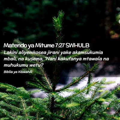 Picture 02 - Matendo ya Mitume 7:27 SWHULB - Lakini aliyemkosea jirani yake akamsukumia mbali, - Bible Verse Picture