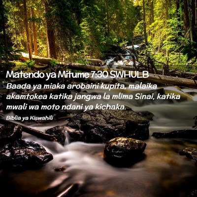 Picture 02 - Matendo ya Mitume 7:30 SWHULB - Baada ya miaka arobaini kupita, malaika akamtokea - Bible Verse Picture