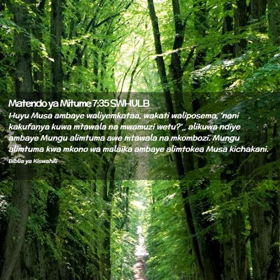 Picture 02 - Matendo ya Mitume 7:35 SWHULB - Huyu Musa ambaye waliyemkataa, wakati waliposema, - Bible Verse Picture