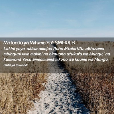 Picture 02 - Matendo ya Mitume 7:55 SWHULB - Lakini yeye, akiwa amejaa Roho Mtakatifu, - Bible Verse Picture