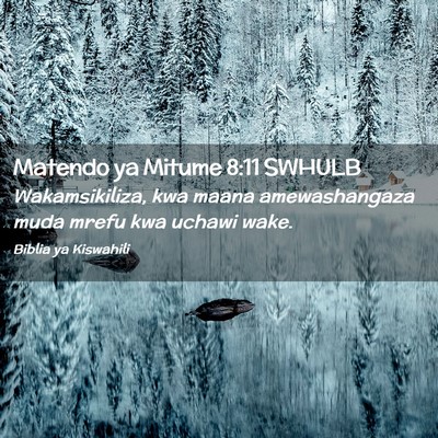 Picture 02 - Matendo ya Mitume 8:11 SWHULB - Wakamsikiliza, kwa maana amewashangaza muda mrefu - Bible Verse Picture