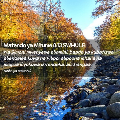 Picture 02 - Matendo ya Mitume 8:13 SWHULB - Na Simoni mwenyewe aliamini: baada ya kubatizwa, - Bible Verse Picture