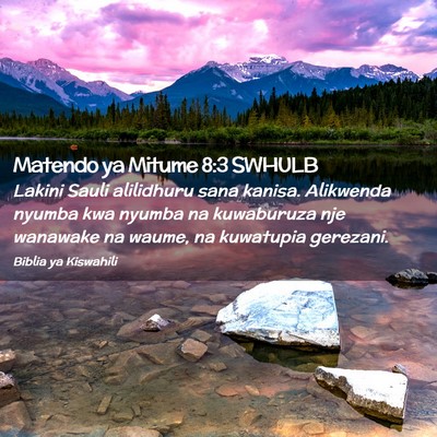 Picture 02 - Matendo ya Mitume 8:3 SWHULB - Lakini Sauli alilidhuru sana kanisa. Alikwenda - Bible Verse Picture