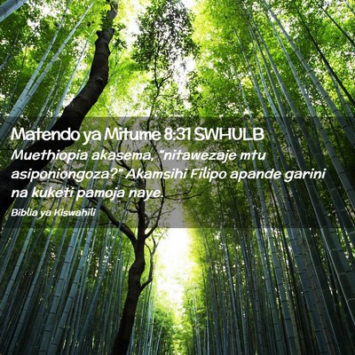 Picture 02 - Matendo ya Mitume 8:31 SWHULB - Muethiopia akasema, “nitawezaje mtu - Bible Verse Picture