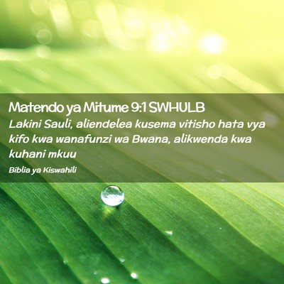 Picture 02 - Matendo ya Mitume 9:1 SWHULB - Lakini Sauli, aliendelea kusema vitisho hata vya - Bible Verse Picture
