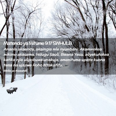 Picture 02 - Matendo ya Mitume 9:17 SWHULB - Anania akaenda, akaingia mle nyumbani; Akamwekea - Bible Verse Picture