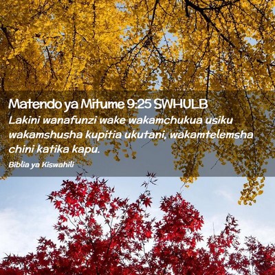 Picture 02 - Matendo ya Mitume 9:25 SWHULB - Lakini wanafunzi wake wakamchukua usiku - Bible Verse Picture