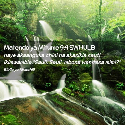 Picture 02 - Matendo ya Mitume 9:4 SWHULB - naye akaanguka chini na akasikia sauti - Bible Verse Picture