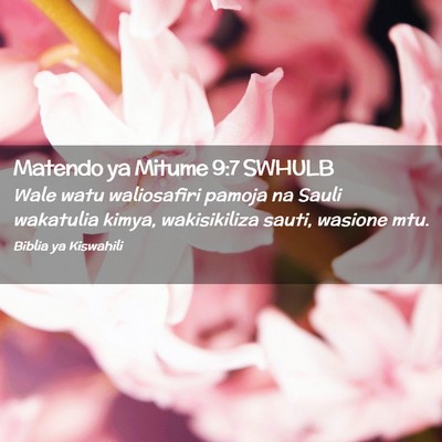 Picture 02 - Matendo ya Mitume 9:7 SWHULB - Wale watu waliosafiri pamoja na Sauli wakatulia - Bible Verse Picture