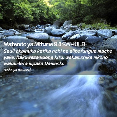 Picture 02 - Matendo ya Mitume 9:8 SWHULB - Sauli akainuka katika nchi na alipofungua macho - Bible Verse Picture