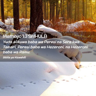 Picture 02 - Mathayo 1:3 SWHULB - Yuda alikuwa baba wa Peresi na Sera kwa Tamari, - Bible Verse Picture