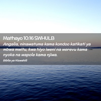 Picture 02 - Mathayo 10:16 SWHULB - Angalia, ninawatuma kama kondoo katikati ya mbwa - Bible Verse Picture