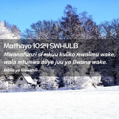 Picture 02 - Mathayo 10:24 SWHULB - Mwanafunzi si mkuu kuliko mwalimu wake, wala - Bible Verse Picture