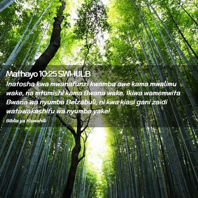 Picture 02 - Mathayo 10:25 SWHULB - Inatosha kwa mwanafunzi kwamba awe kama mwalimu - Bible Verse Picture