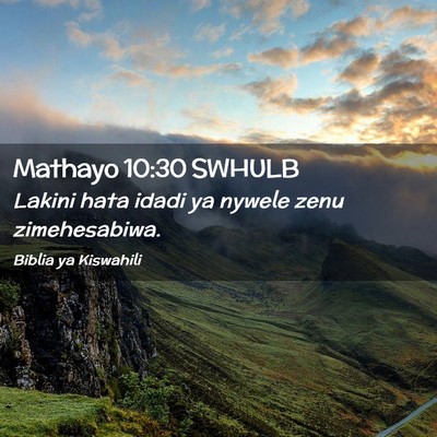 Picture 02 - Mathayo 10:30 SWHULB - Lakini hata idadi ya nywele zenu - Bible Verse Picture