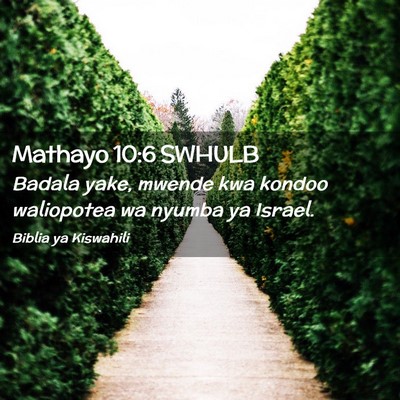 Picture 02 - Mathayo 10:6 SWHULB - Badala yake, mwende kwa kondoo waliopotea wa - Bible Verse Picture