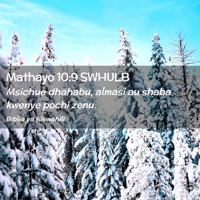 Picture 02 - Mathayo 10:9 SWHULB - Msichue dhahabu, almasi au shaba kwenye pochi - Bible Verse Picture