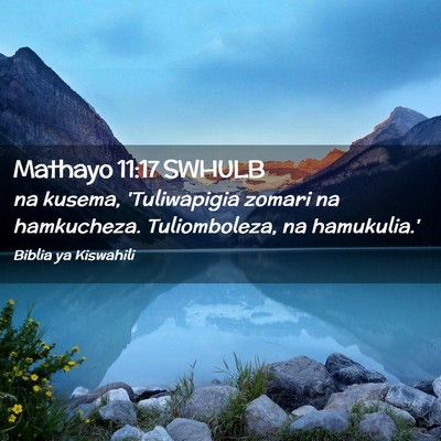 Picture 02 - Mathayo 11:17 SWHULB - na kusema, 'Tuliwapigia zomari na hamkucheza. - Bible Verse Picture