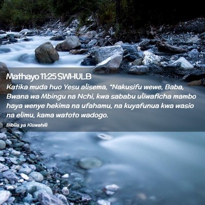 Picture 02 - Mathayo 11:25 SWHULB - Katika muda huo Yesu alisema, “Nakusifu wewe, - Bible Verse Picture