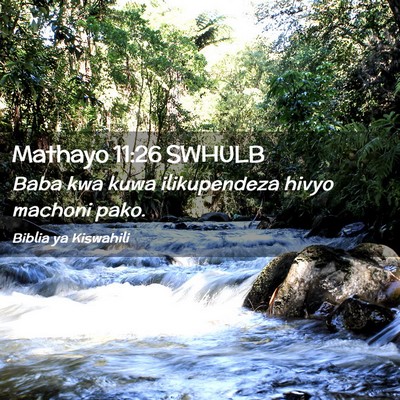 Picture 02 - Mathayo 11:26 SWHULB - Baba kwa kuwa ilikupendeza hivyo machoni - Bible Verse Picture