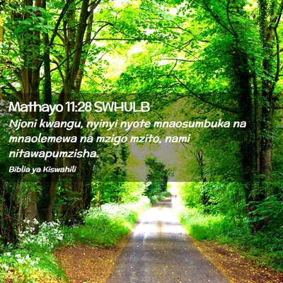 Picture 02 - Mathayo 11:28 SWHULB - Njoni kwangu, nyinyi nyote mnaosumbuka na - Bible Verse Picture