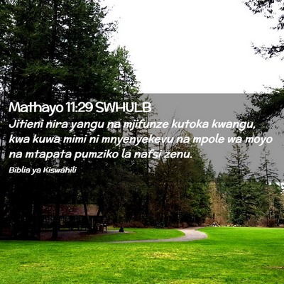 Picture 02 - Mathayo 11:29 SWHULB - Jitieni nira yangu na mjifunze kutoka kwangu, kwa - Bible Verse Picture